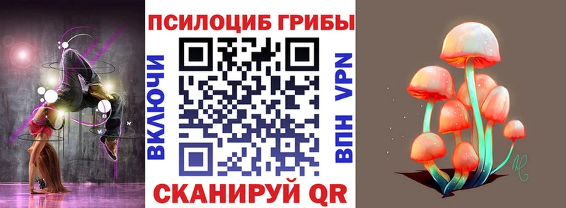 кракен вход  Моршанск  Псилоцибиновые грибы MAGIC MUSHROOMS 